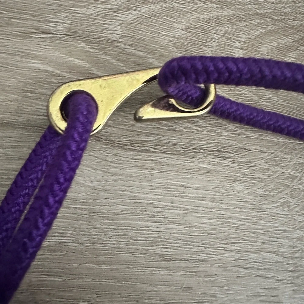 Multicolor Braided Belt with Gold Accent - Picture 7 of 7